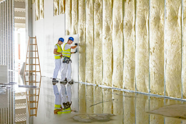 Best Home Insulation Services  in Bagdad, FL